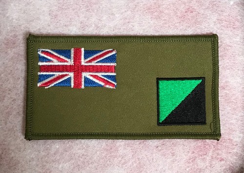 Royal irish regiment - irish, zap