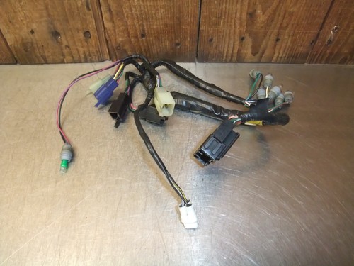 Triumph tiger 955i 2003 - tiger, clocks