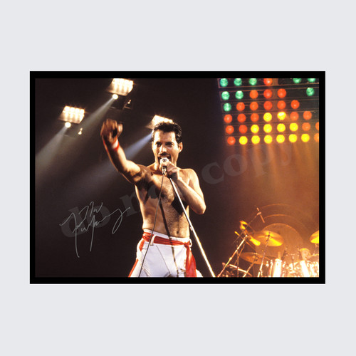Freddie mercury queen - freddie,