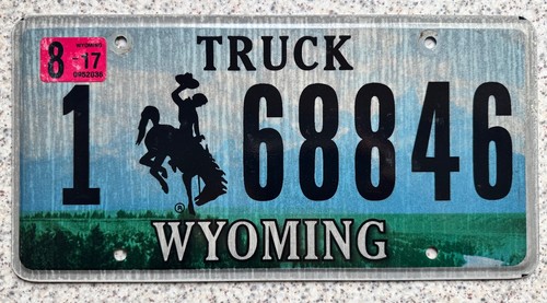 Wyoming cowboy horse - wyoming,