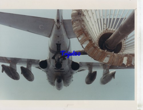 10x8 colour photo - colour, intruder