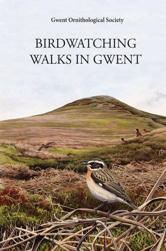 Birdwatching walks gwent - birdwatching,