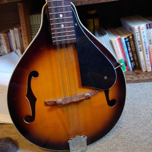 Aria am200 string flat - aria, 8-string