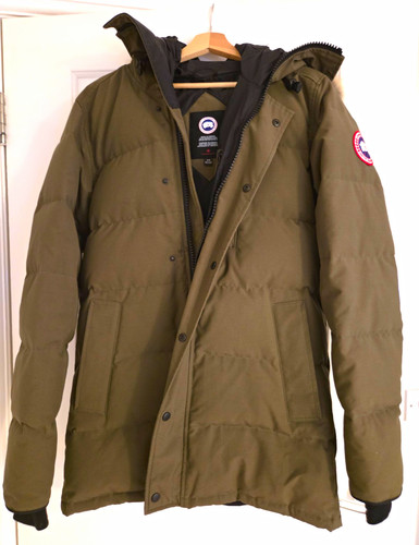 Canada goose arctic program - canada,