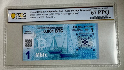 2022 polymerbit bit - bit, coin
