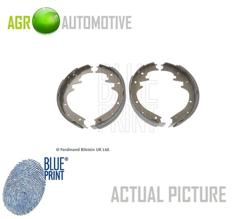 Blue print rear - brake, shoe