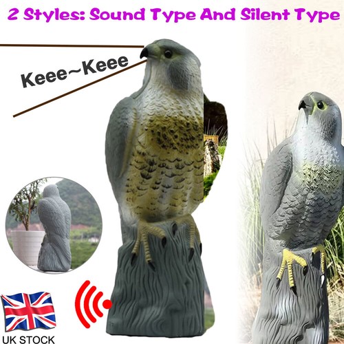 Decoy hawk garden - decoy, bird