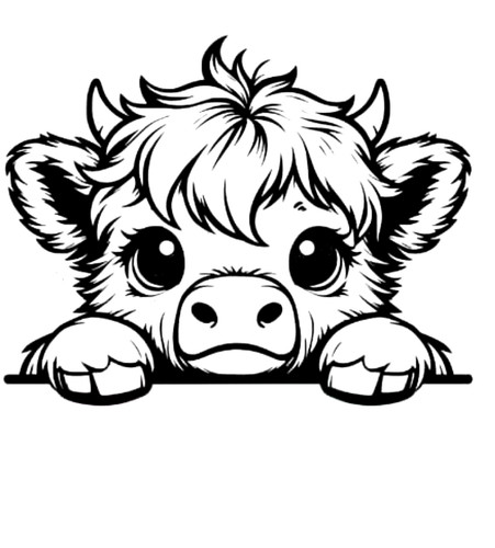 Baby peeking highland cow - baby,