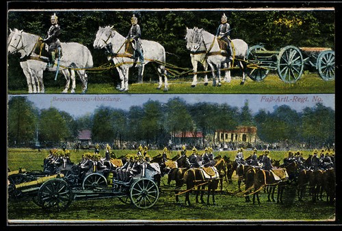 Horse drawn carriage unit - horse-drawn,