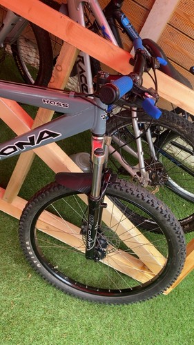 Kona hoss - kona,