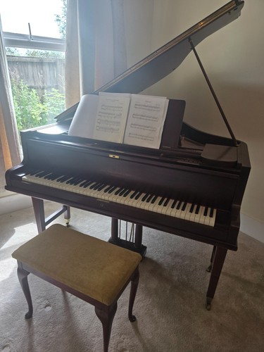 Baby grand piano - grand,