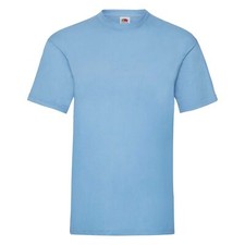 Fruit of the Loom Mens T Shirts Blank Shirt Various Colours & Sizes Discounts