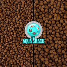 Cichlid pellets floating - cichlid,
