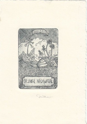 Exlibris bookplate radierung - exlibris,