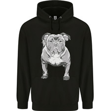 American Bully Striking a Pose