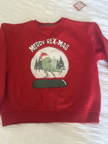 Dinosaur christmas sweatshirt - dinosaur,