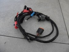 Rotax max evo wiring loom - max,