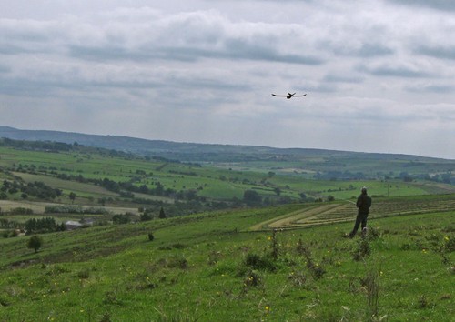 Photo glider flying at - a3,