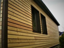 NEW PROFILE Siberian Larch