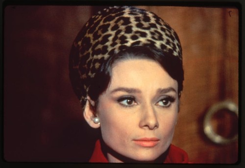 Audrey hepburn charade - audrey, leopard