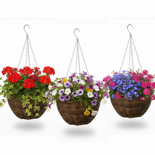 Set 12 natural - 12”,