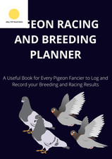 Pigeon racing and - racing,