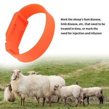 10Pcs Sheep Identification