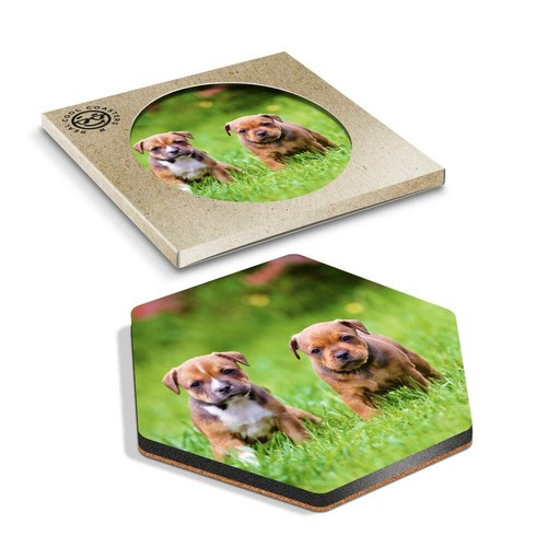 Hexagon coaster - hexagon,