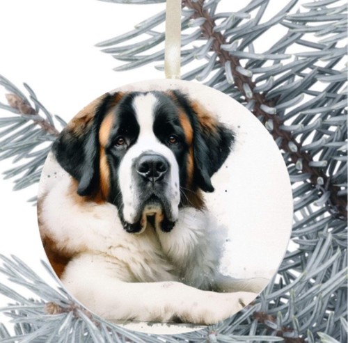 Bernard dog hanging - st,