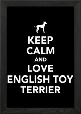 English Toy Terrier Framed