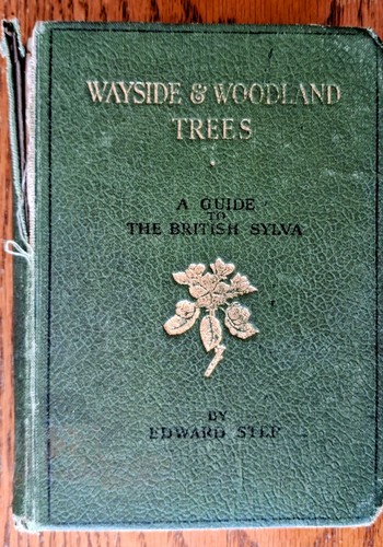 Wayside and woodland - wayside, trees