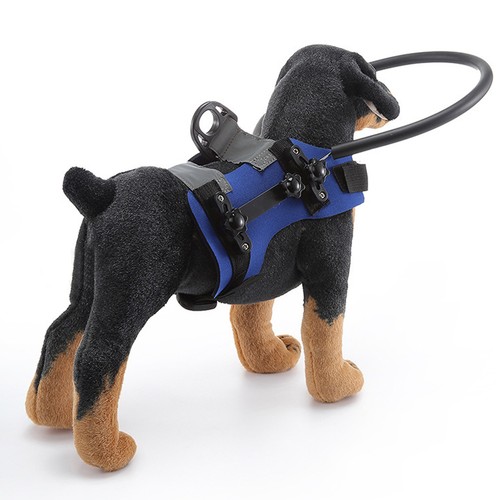 Blind dog harness guiding - (s)blind,