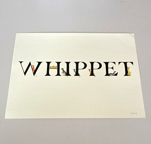 Bridgette lee whippet dog - lee,