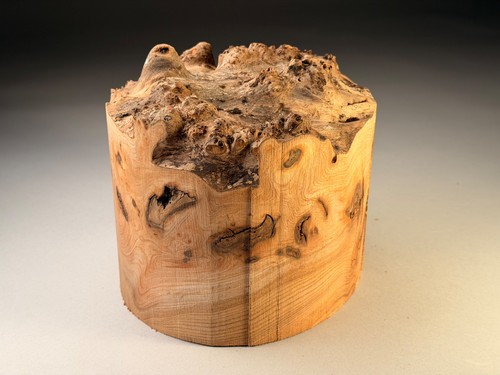 Amazing large live edge - large,
