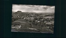 Weinberg Weibertreu