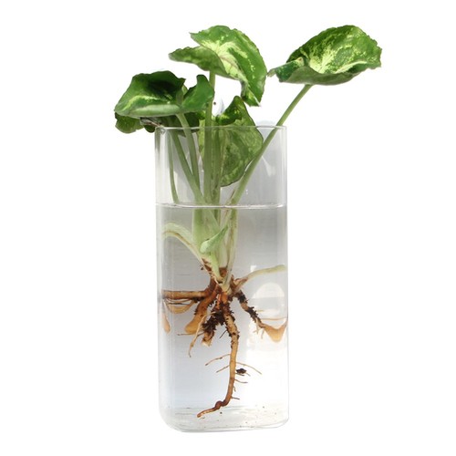 Cone shape wall hanging vase - shape,