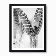 Feathers In A Vase Art Print