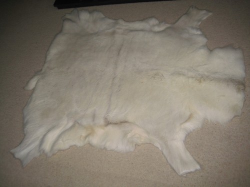 Premier reindeer skin rug - skin, by