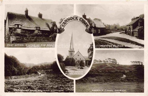 Cannock chase staffordshire - cannock,
