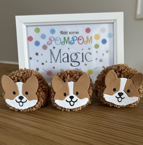 Pompom corgi terrier dogs - 3,