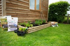 Wooden Raised Bed Forest Bed