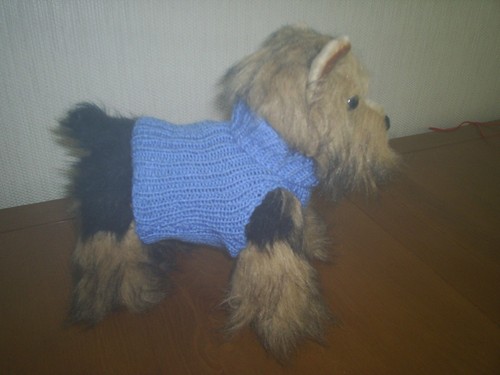 Hand knitted dog - xs,