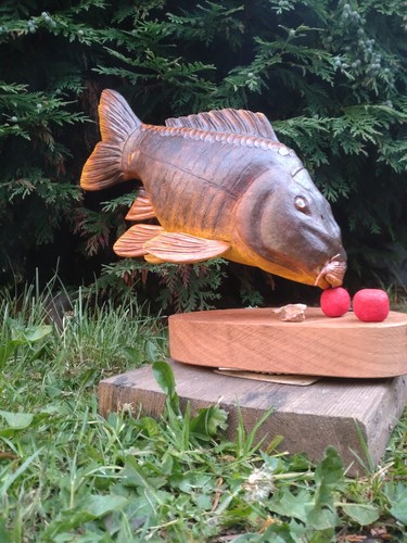Carp fishing mirror - carp, fishing,