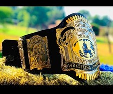 Unified World Heavyweight