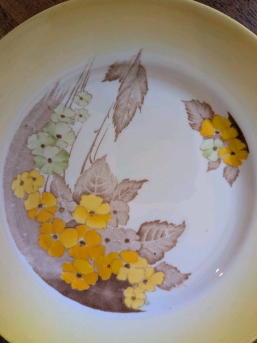 Shelley pottery yellow - shelley, phlox