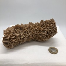 Desert Rose Sand Natural Specimen - Mineral Crystal Large 480g, 6" x2" Log Shape