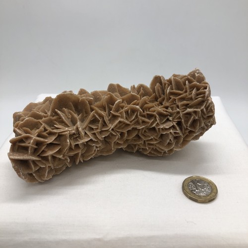 Desert rose sand - rose, natural