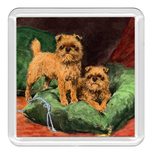 Brussels griffon dog acrylic - griffon,