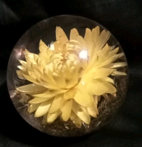 Hafod grange 1997 lucite - 1997,