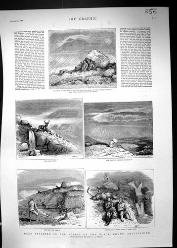 Old 1891 deer stalking - stalking, forest